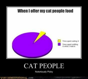 graph: When I offer my cat people food