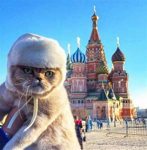 cat in fur coat; Russian palace