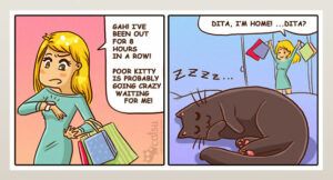 Cartoon re: leaving cat alone