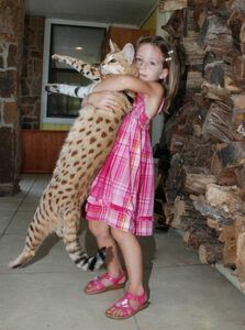 girl holding cat as tall as her