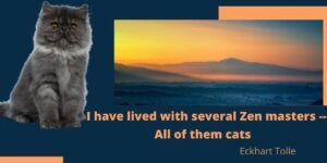 I have lived with several Zen masters; all of them cats