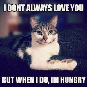 I don't always love you, but when I do, I'm hungry