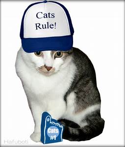 Cat wearing "cats rule" hat