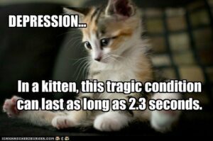 Kitten: depression can last as long as 2.3 seconds