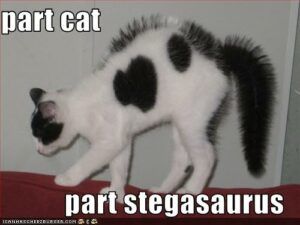 Cat with tail and fur on back on end
