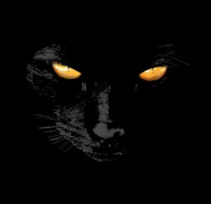 black cat face with yellow eyes