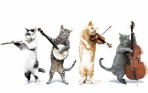 four cats in band: bass, flute, banjo, fiddle