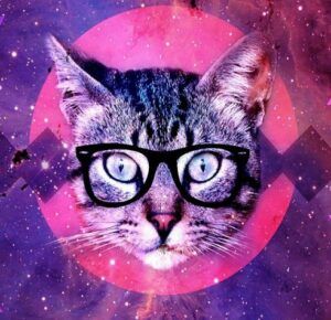 Cat head; glasses; purple; pink background