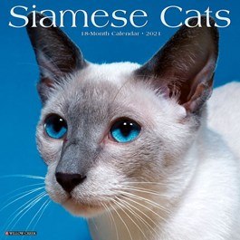 2021 calendar -- Siamese cat head