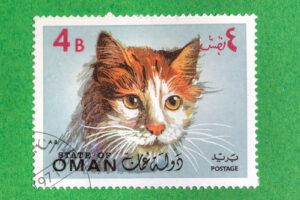 Van cat on postage stamp