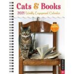 Cat on chair with open book