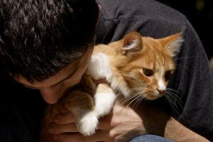 Man holding cat and giving affection