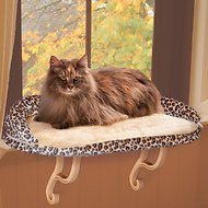 Cat sitting on window perch