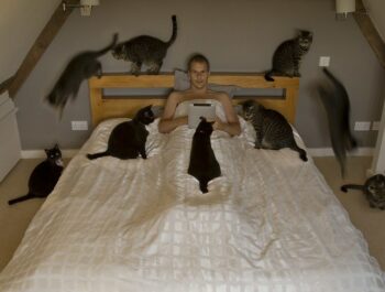 nine cats; one man in bed