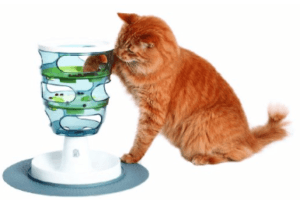 Orange cat getting food from puzzle