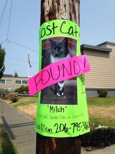 Post advertising lost cat; says "found"