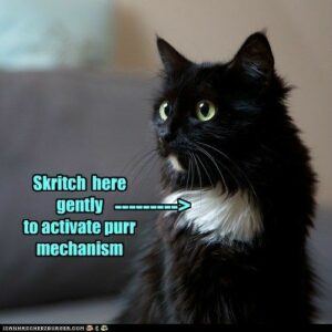 "Skritch here gently to activate purr mechanism