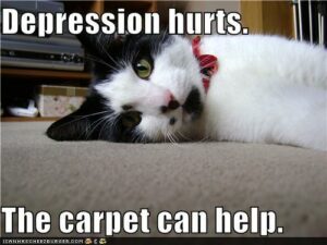 black & white cat lying on carpet