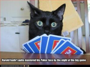 Black cat and hand of cards