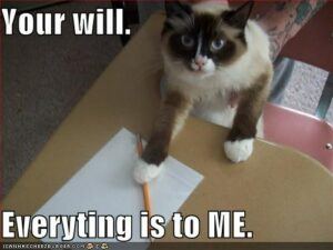 Cat with will: "Your will. Everything is to me."
