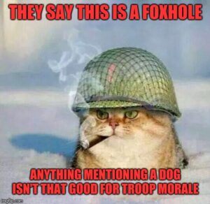 Cat in foxhole