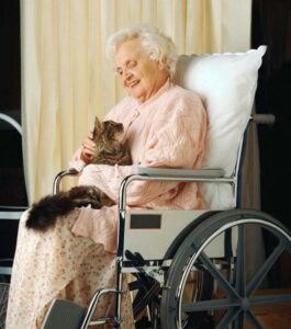 Elderly woman in wheel chair holding cat