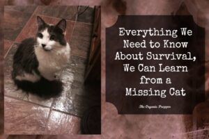 B & W cat; sign saying "Everything we need to know about survival, we can learn from a missing cat