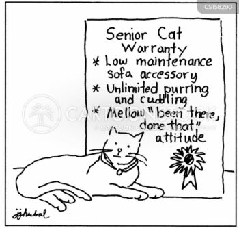 cartoon stating senior cat warranty