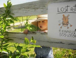 child + sign about lost pet