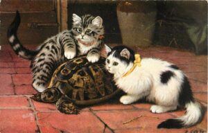 two kittens and a tortoise