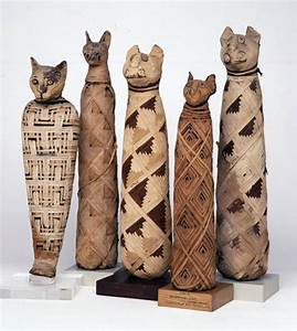 Egyptian mummified cats