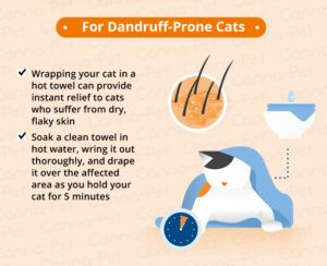 Helping a dandruff-prone cat