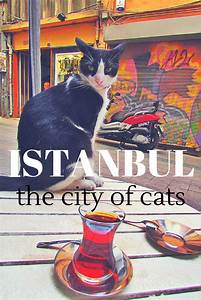 Poster advertising Istanbul, city of cats