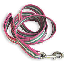 coiled up leash, pink with green & white stripes