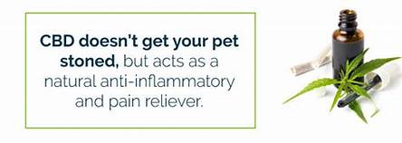 CBD: Natural anti-inflammatory and pain reliever