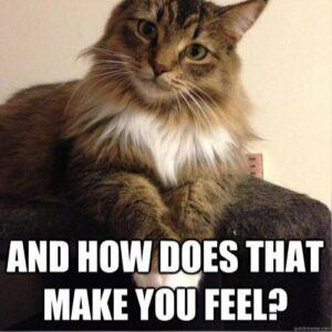 Cat with questioning look: And how does that make you feel