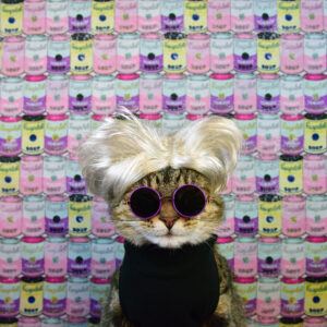 Cat with dark glasses, white wig, black vest