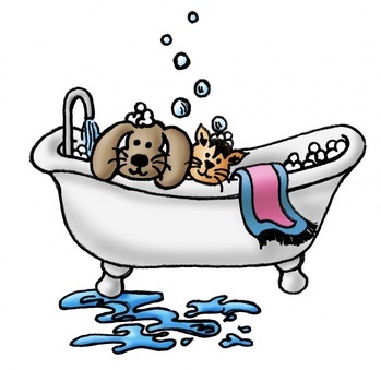 Cartoon: Cat and dog in bathtub