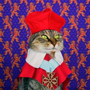 Cat in cardinal costume