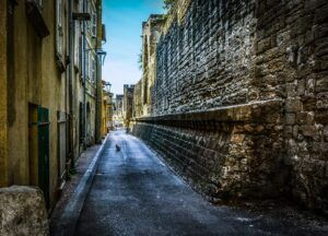 Cat on deserted city street