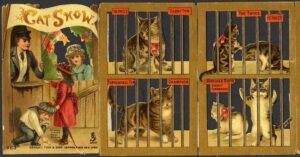 early illustration of cat show