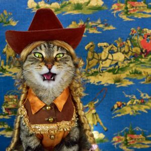 Cat w/cowboy hat, gold wig, cowgirl costume