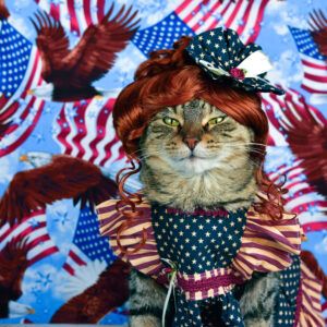 Cat with red wig & pinafore of stars & stripes