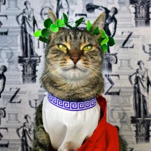 Cat with green leaf crown and toga