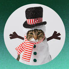 Cat dressed as scarecrow in top hat