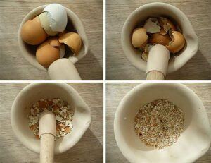 Making eggshell calcium