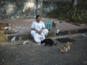 Lady feeding cats in Mumbai City
