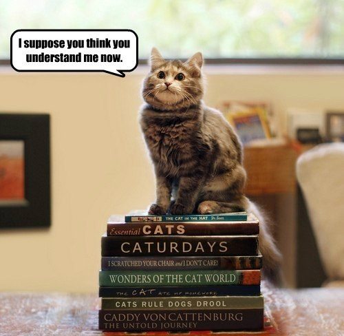 Cat sitting on stack of cat books