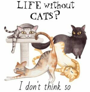 4 cats; life without cats? I don't think so