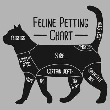 Feline petting chart